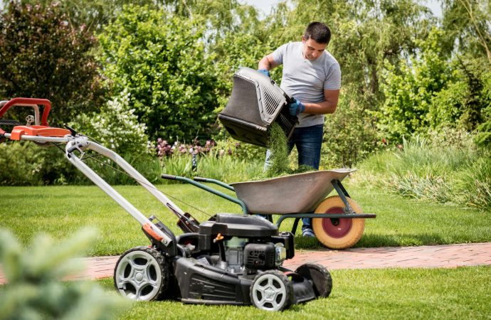 Spring work in the garden. Get ready for the coming season