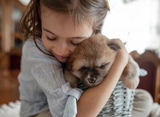 Mom we want a dog! A dog for the home – the best breeds for children