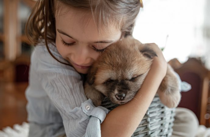 Mom we want a dog! A dog for the home – the best breeds for children