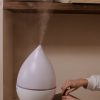 Do humidifiers protect against bacteria? Check which model to choose!