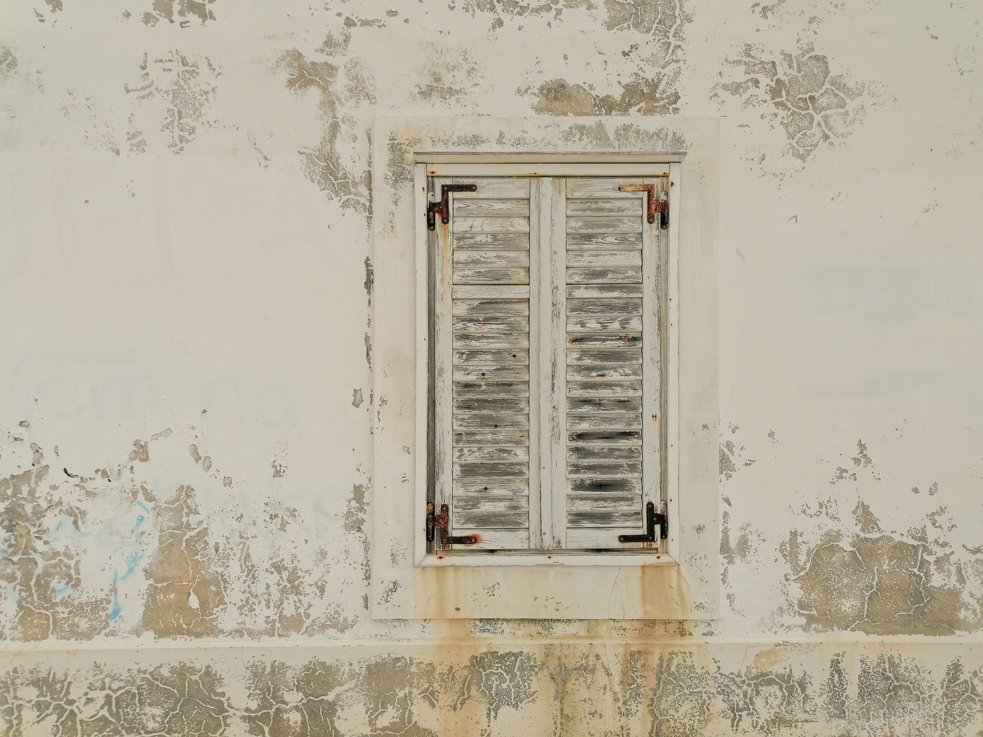 Mold in the home. Effective ways to get rid of mold