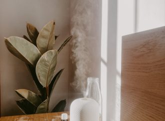 Humidifier with aromatherapy. Is it worth having one?