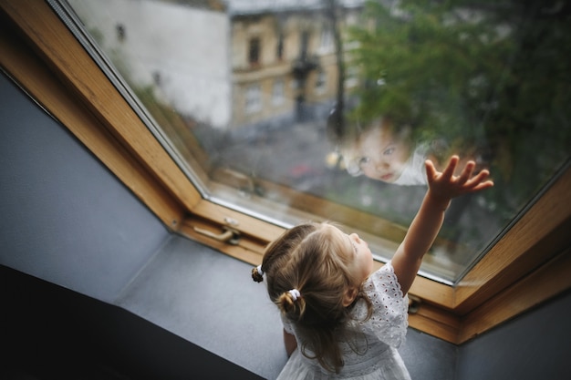 Enhancing Home Energy Efficiency with Eco-Friendly Windows